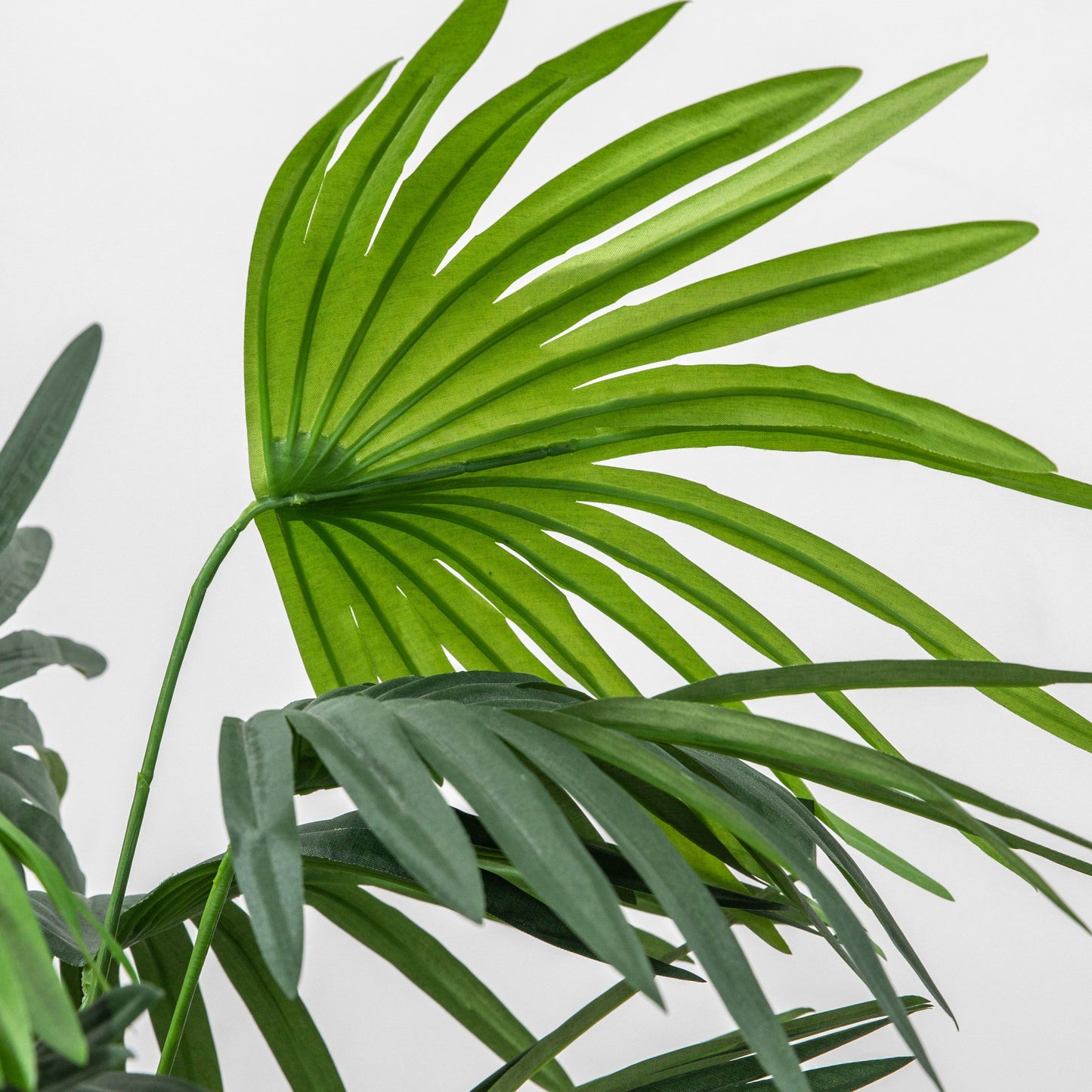 Chinese Fan Palm H1170mm