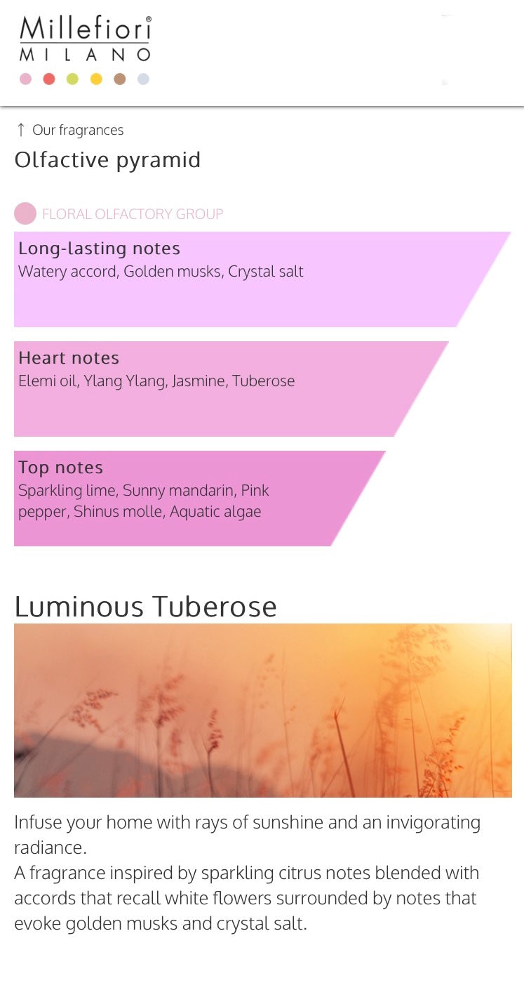 Millefiori Water Soluble Diffuser Fragrance Oil