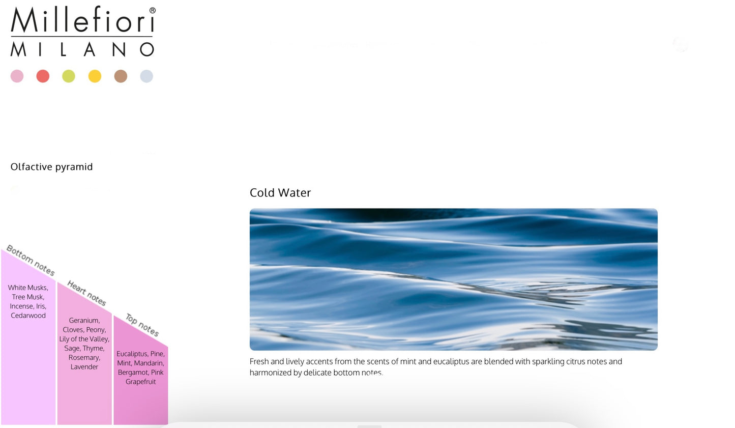 Millefiori 250ml Reed Diffuser