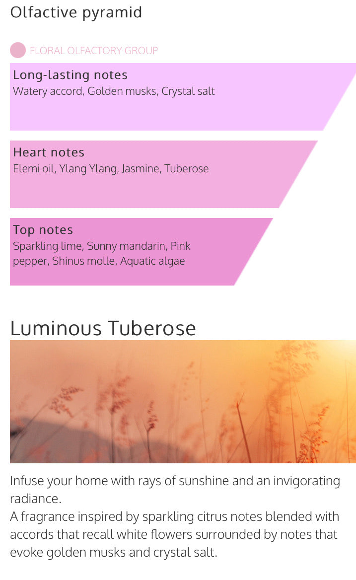 Millefiori Milano 100ml Reed Diffuser