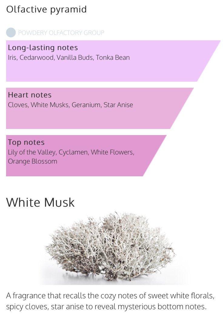 Millefiori Water Soluble Diffuser Fragrance Oil