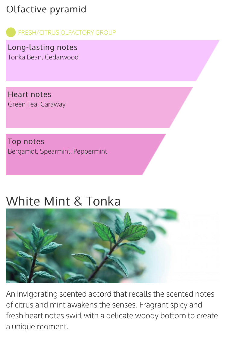 Millefiori Milano 100ml Reed Diffuser