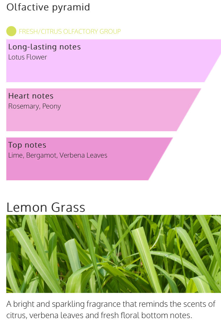 Millefiori Milano 100ml Reed Diffuser