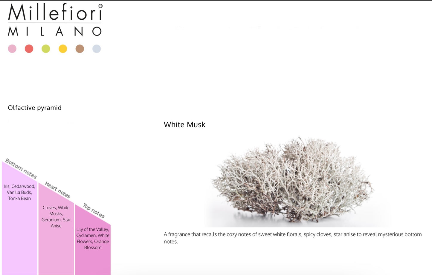 Millefiori 250ml Reed Diffuser
