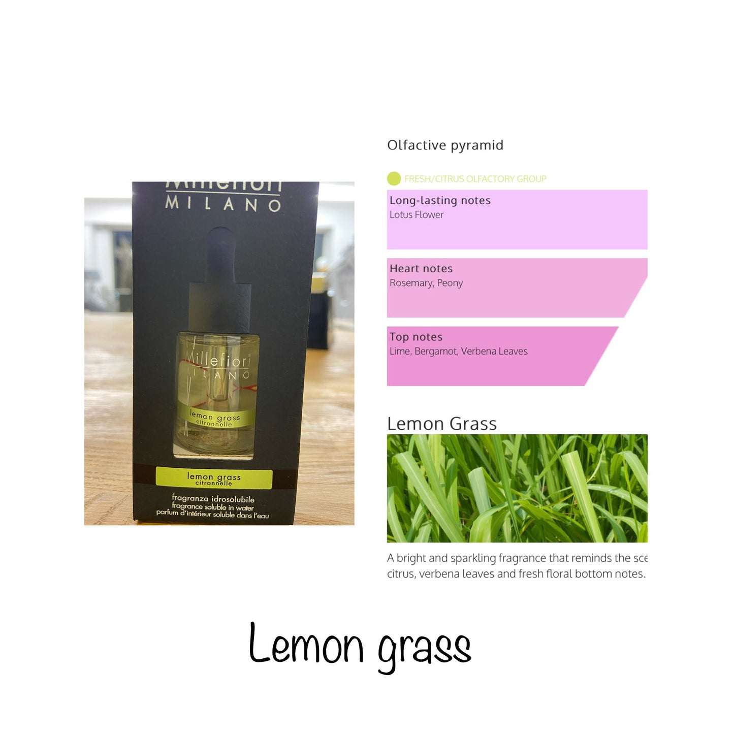 Millefiori Water Soluble Diffuser Fragrance Oil
