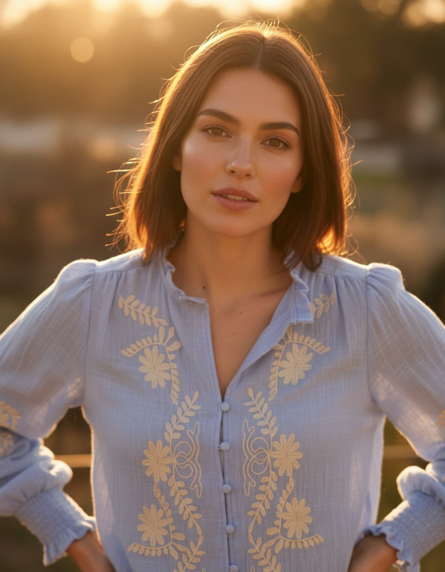 Aria Powder Blue Embroidered Blouse
