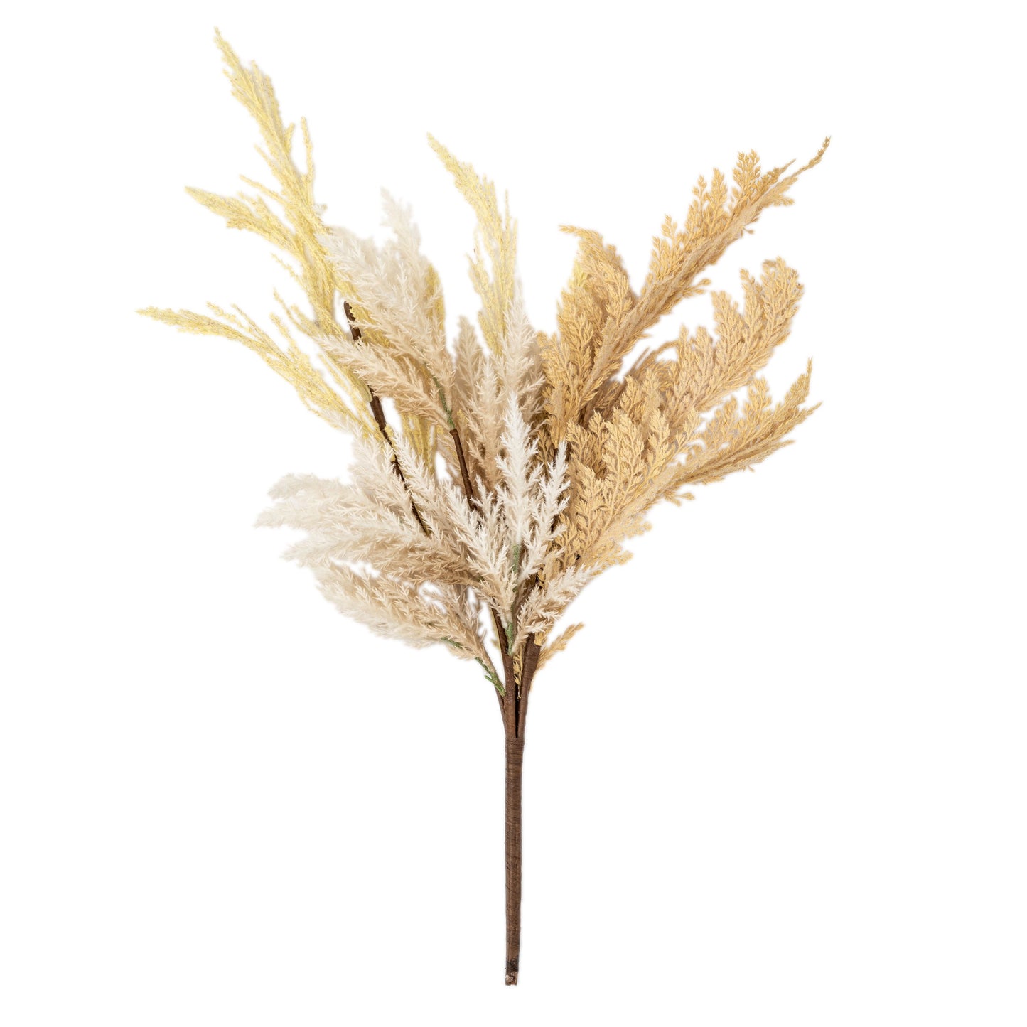 Dry Grass Bouquet Small - 250 x 220 x 710