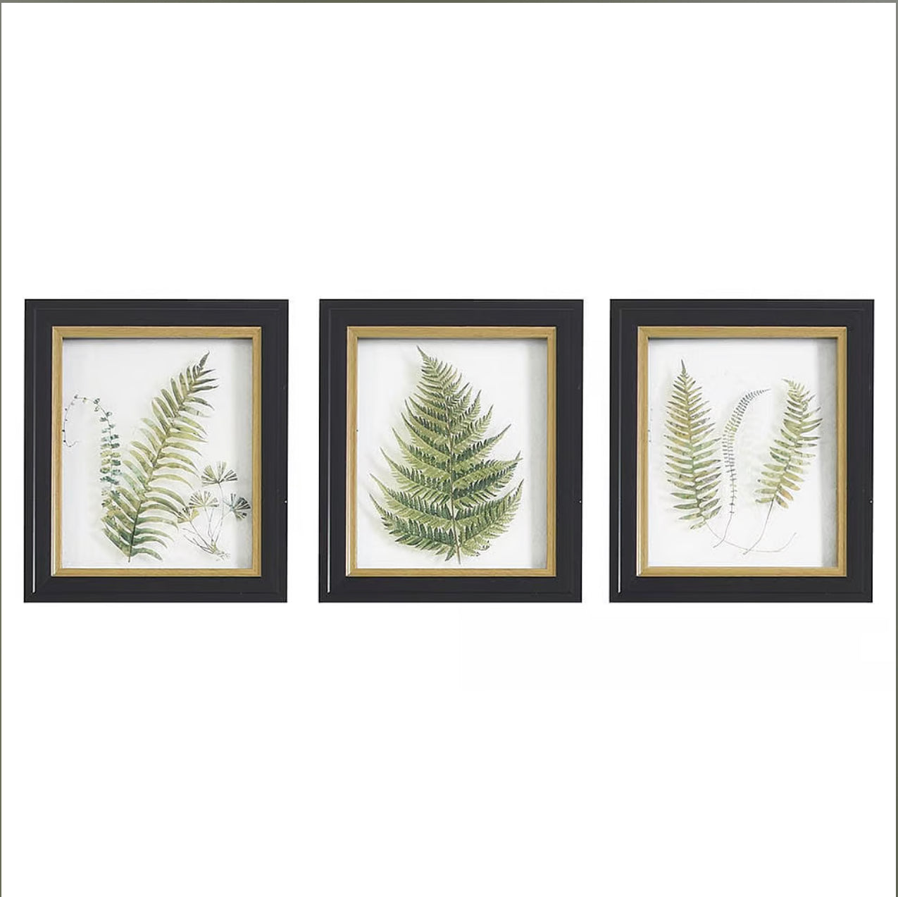 Green Fern Wall Art Trio