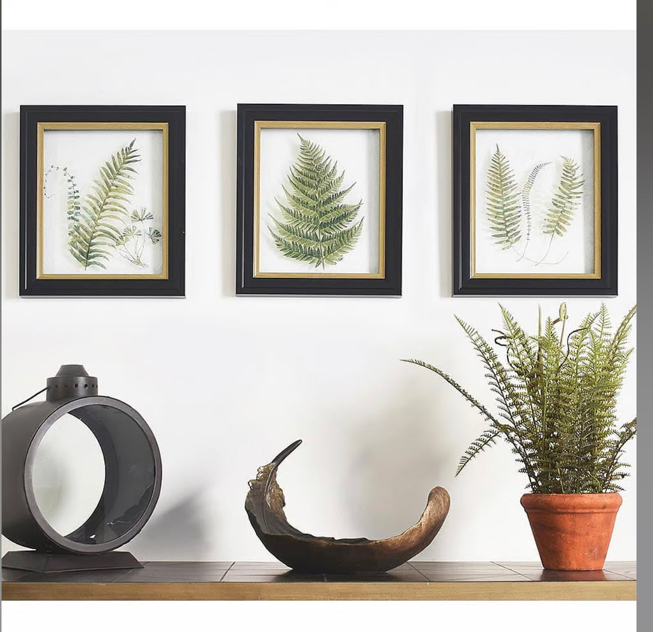 Green Fern Wall Art Trio