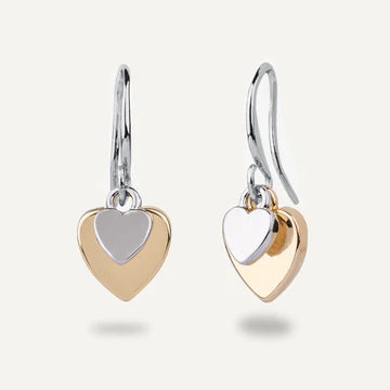 Double Heart Hook Earrings - Silver