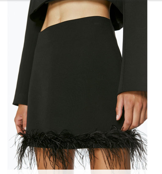 Access Fashion Mini Skirt with Feather Trim